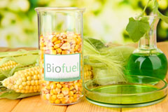 Eye biofuel availability